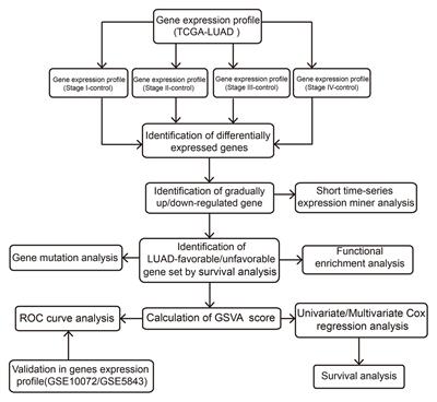 Identification and Validation of Two Lung Adenocarcinoma-Development Characteristic Gene Sets for Diagnosing Lung Adenocarcinoma and Predicting Prognosis